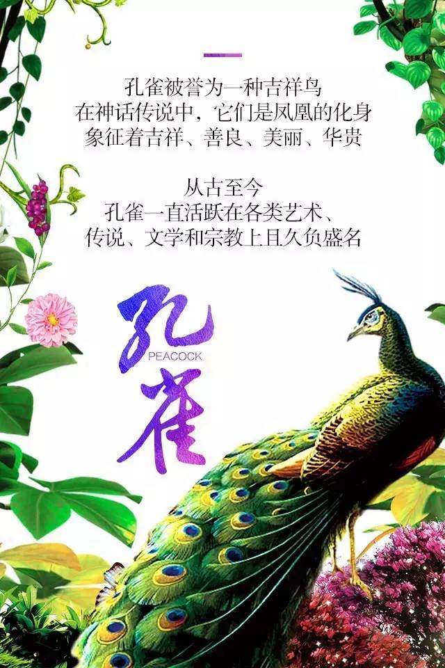 【915-918邵陽(yáng)秋季車展】鳳臨枝頭，雀雀雀雀雀實(shí)驚艷！