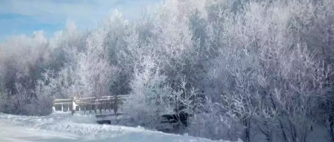 奕行記|奕路向北，駛向雪國(guó)阿爾山